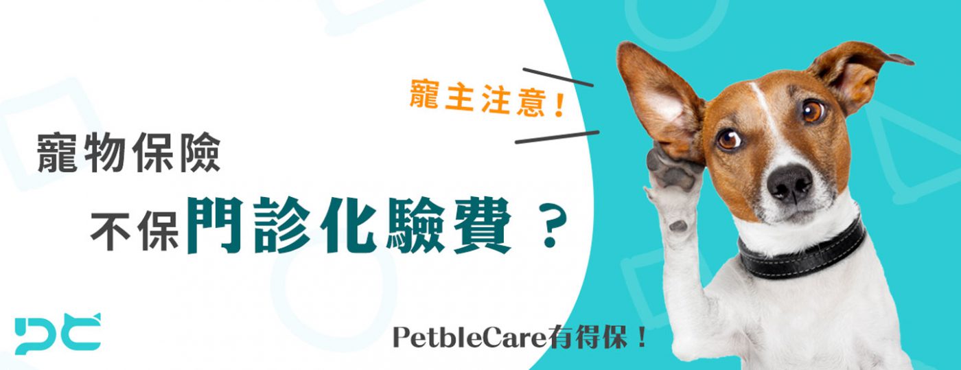 寵主注意 寵物保險不保門診化驗費 PetbleCare 寵物保險