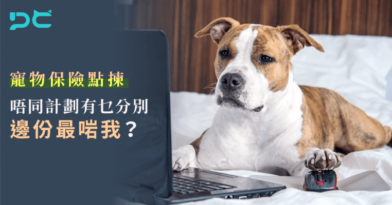 PetbleCare 寵物保險 香港 買寵物保險 貓貓 狗狗 點揀寵物保險 唔同計劃 有乜分別 邊份最啱我 總表 計劃表
