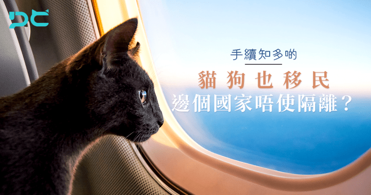 PetbleCare 寵物保險 香港 買寵物保險 貓貓 狗狗 手續 貓狗 移民 邊個國家 唔使隔離 不用隔離